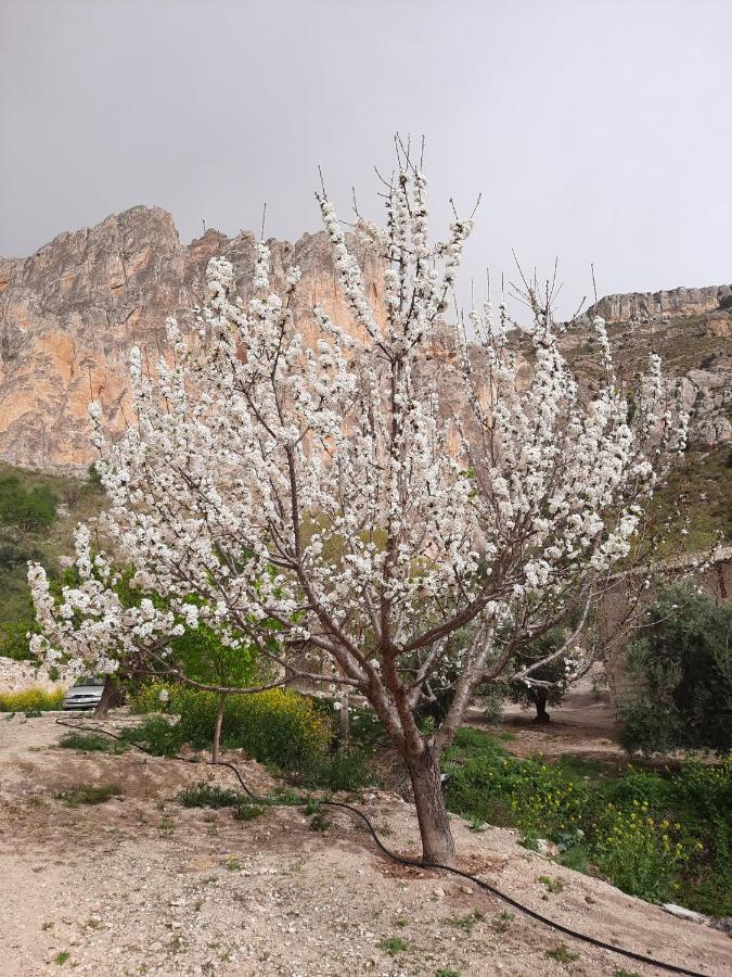 Cortijo El Chorreadero En Parque Natural Sierra De Cazorla Los Rosales  Dış mekan fotoğraf