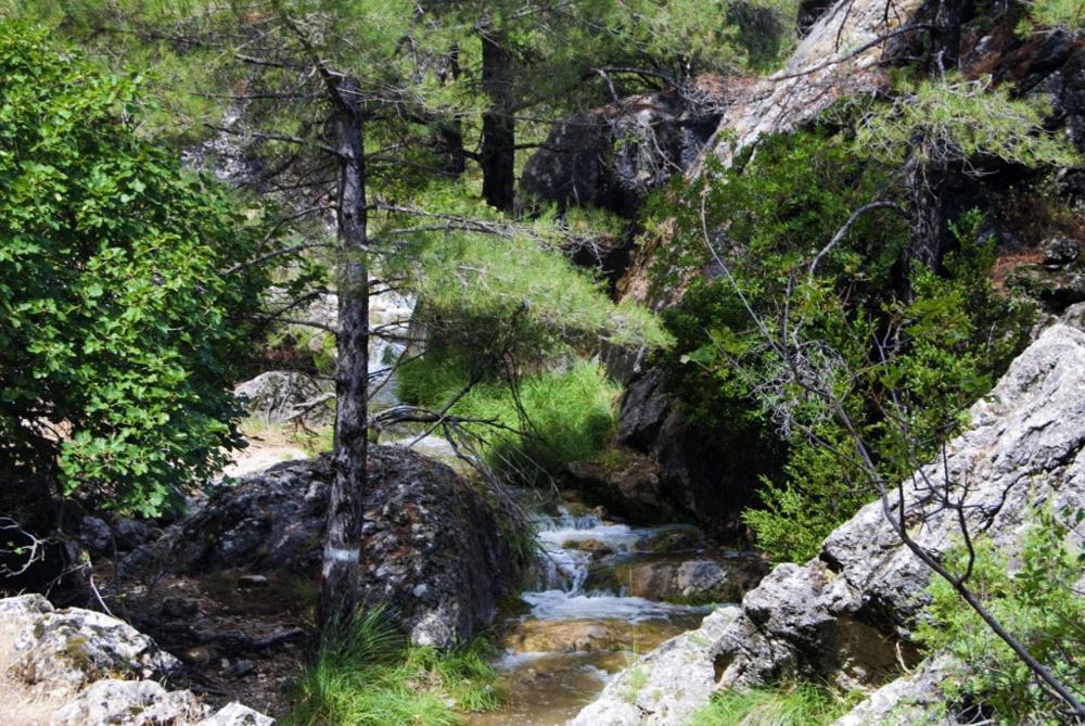 Cortijo El Chorreadero En Parque Natural Sierra De Cazorla Los Rosales  Dış mekan fotoğraf