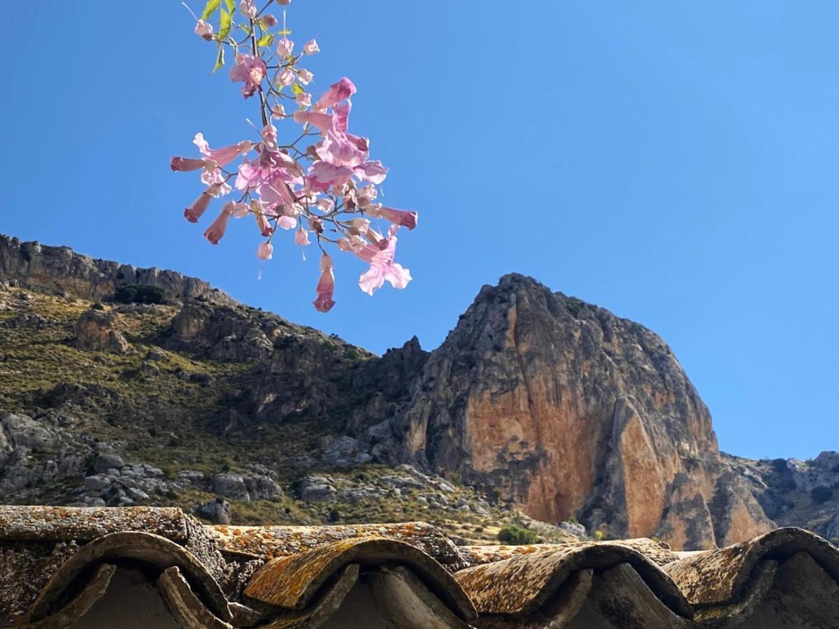 Cortijo El Chorreadero En Parque Natural Sierra De Cazorla Los Rosales  Dış mekan fotoğraf