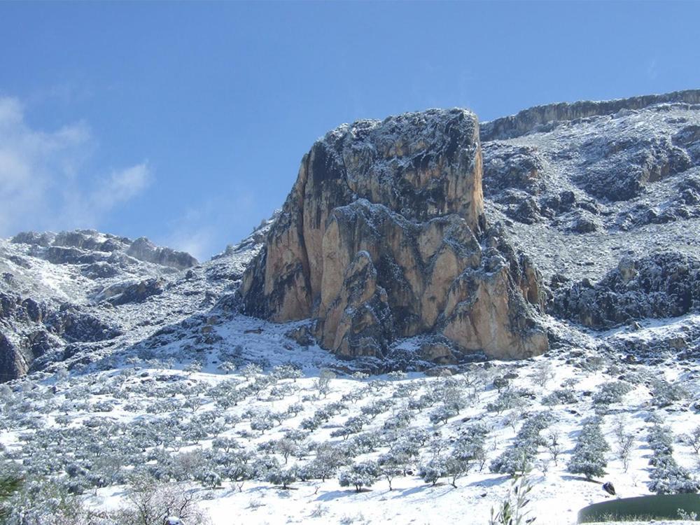 Cortijo El Chorreadero En Parque Natural Sierra De Cazorla Los Rosales  Dış mekan fotoğraf