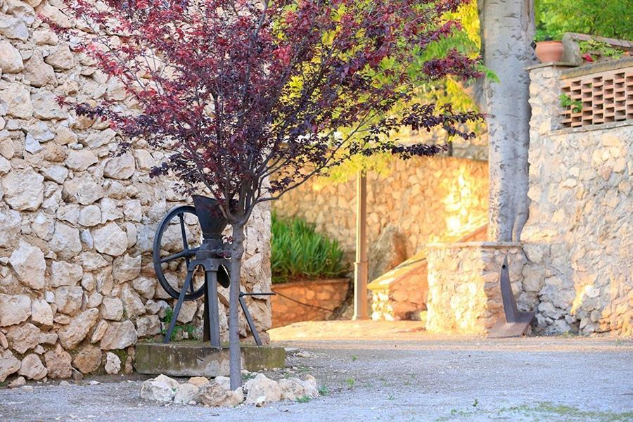Cortijo El Chorreadero En Parque Natural Sierra De Cazorla Los Rosales  Dış mekan fotoğraf