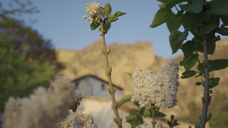 Cortijo El Chorreadero En Parque Natural Sierra De Cazorla Los Rosales  Dış mekan fotoğraf